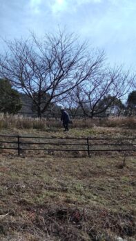 ユニサス〜海田総合公園🏞