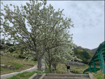 ユニサス〜海田総合公園🏞